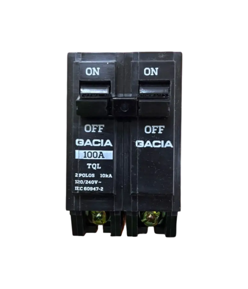 100A Double Pole Circuit Breaker 1