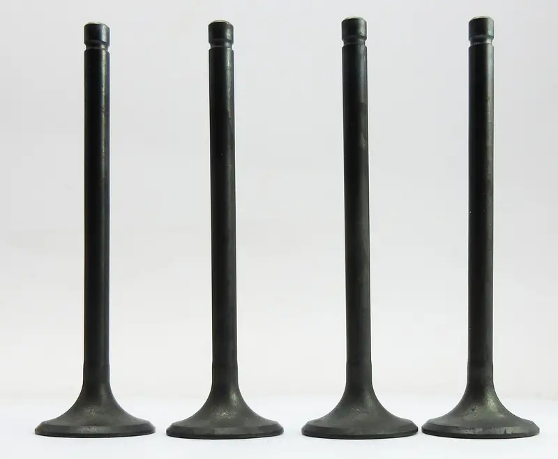 14711-438-000 Engine Intake Valves  (4 Valves) 1