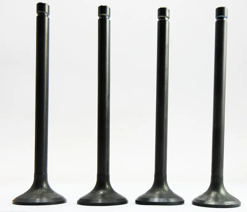 14721-438-000 Engine Exhaust Valves (4 Valves) 1