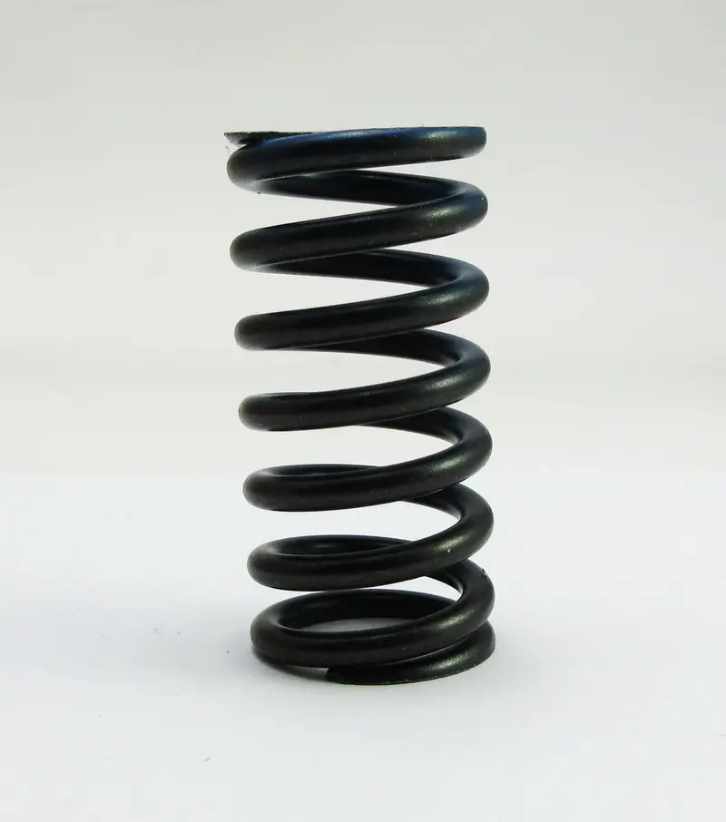22401-410-000 Honda Cb750 Clutch Springs 1
