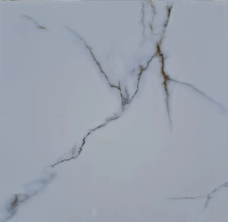 #46045 Ceramic Wall And Floor Tile 18"X18" 1