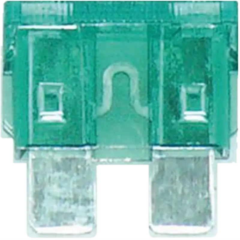 Bf30 - 30 Amp Blade Fuse (10/Pk) 1