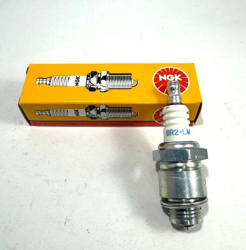 Br2-Lm  Ngk Spark Plug 1