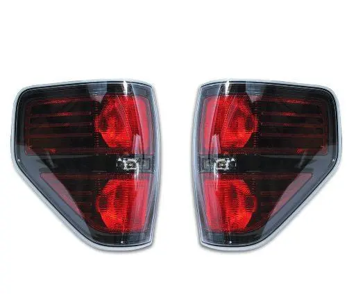 Calavera Ford F-150 2009-2014 1