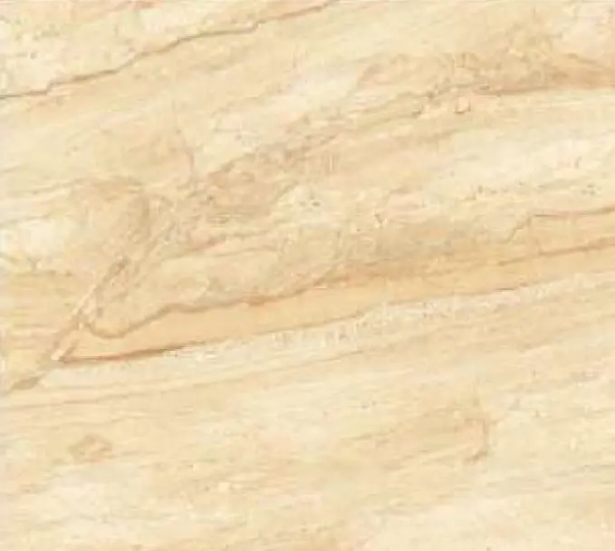 Dyna As Brown Porcelain Floor And Wall Tile 24" X 24"4Pcs 1