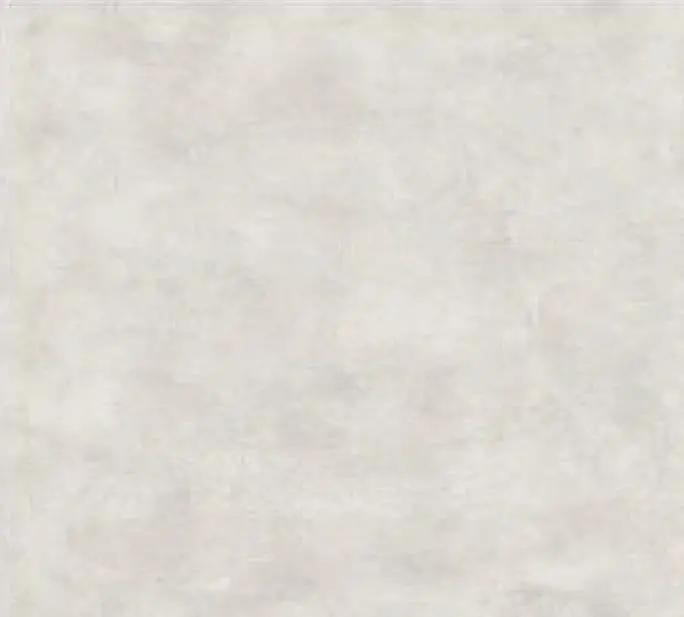 Elio White Porcelain Floor And Wall Tile 24" X 24" 1