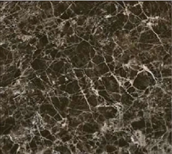 Emprador Choco Porcelain Floor And Wall Tile 24" X 24" 1
