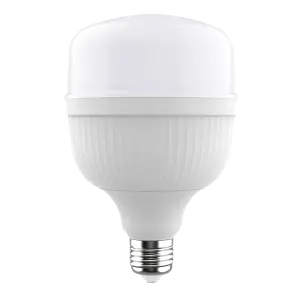 Everbrite Bulb 100-240V Evb-40W 1