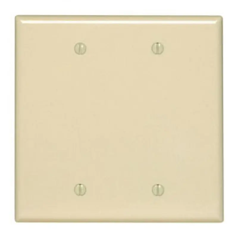 Face Plate Blank Double Ivory 1