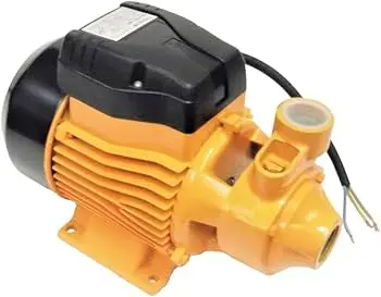 Glong Water Pump 0.5Hp 110V/50H 1