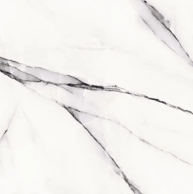 Hd56586 Ceramic Floor And Wall Tile 22"X22" 1