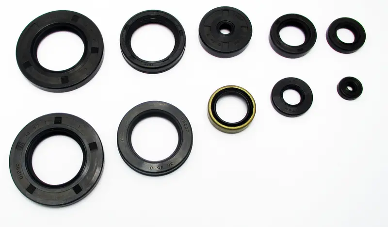 Honda Cb500f Oil Seal Kit 1