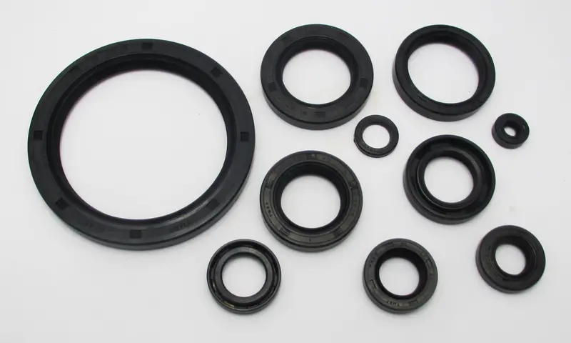 Honda Cx500 / Gl500 Oil Seal Kit 1