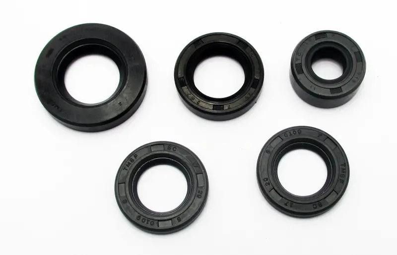 Honda Xr80r  1979-2003 Oil Seal Kit 1