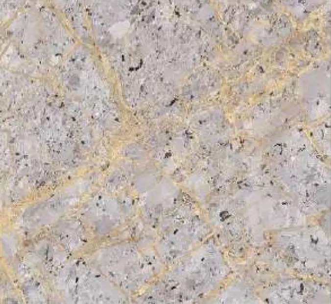 Innova Gold Porcelain Floor And Wall Tile 24" X 24" 2
