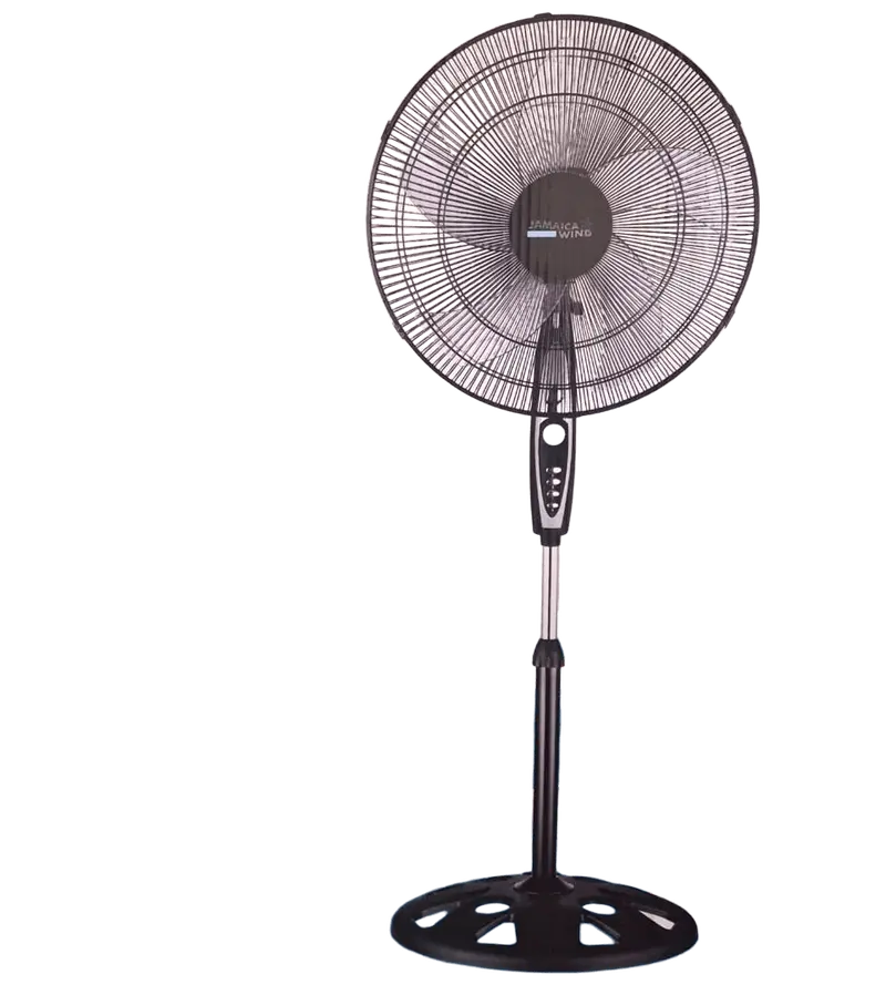 Jamaica Wind 18" Standing Fan 1
