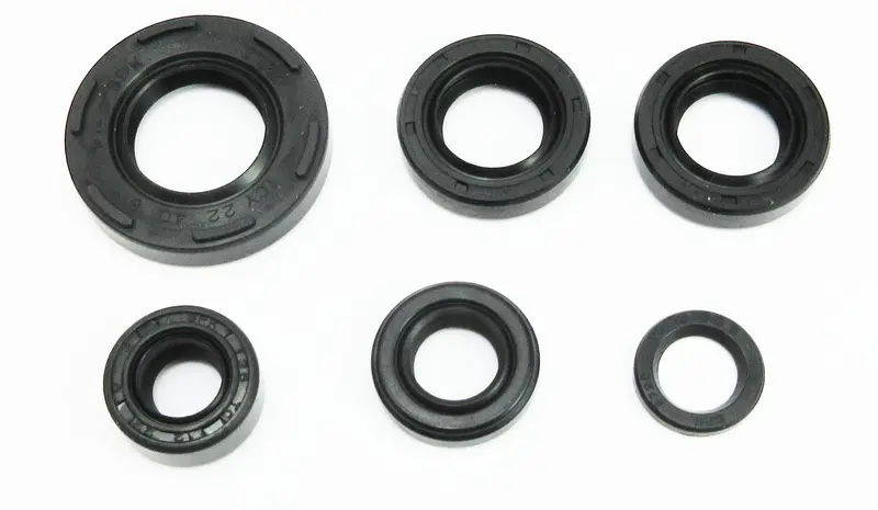 Jr50 / Kdx50 Oil Seal Kit 1