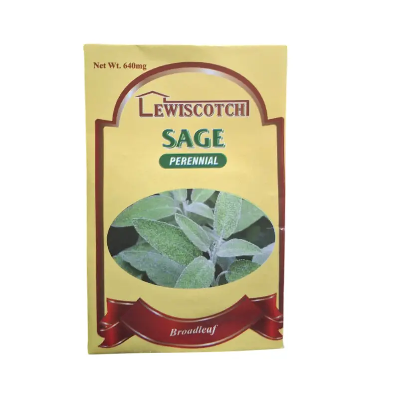 Lewiscotch Sage Perennial Seeds 1