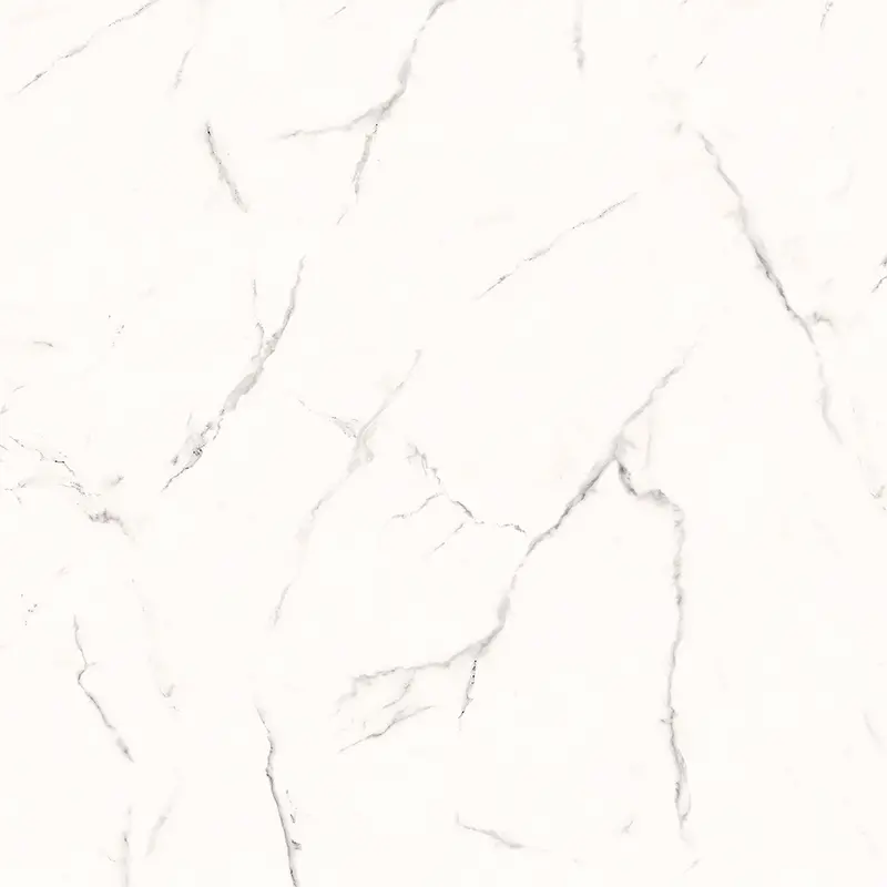 Piazza Plus Ceramic Floor And Wall Tile 24" X 24" 1