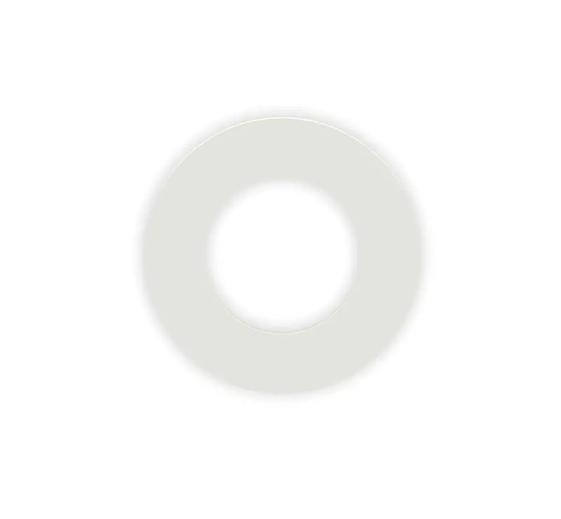 Polyamide (Pa) Custom Manufactured Washers 1