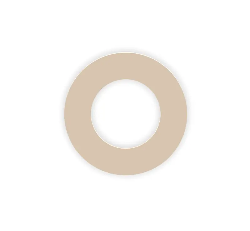 Polyphenylene Sulphide (Pps) Custom Manufactured Washers 1