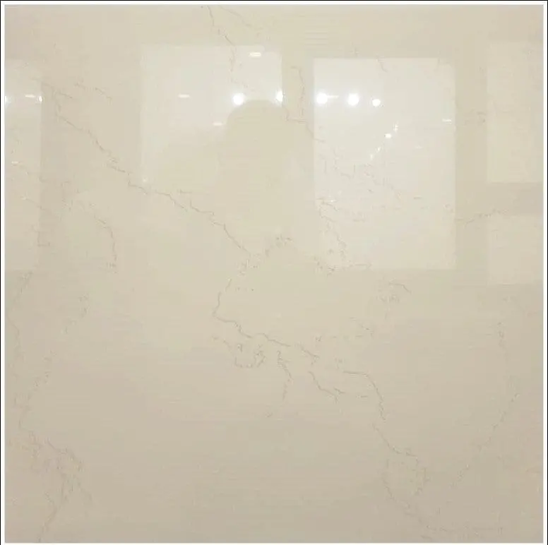 Ravanna Glossy Porcelain Floor  24" X 24" 1