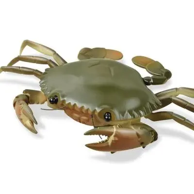 Remote Control Electric Toy Animal Model Simulation Crab Strange New Gift For Children Ready-To-Go Battery Operated Educational 2