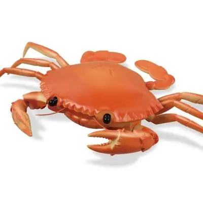 Remote Control Electric Toy Animal Model Simulation Crab Strange New Gift For Children Ready-To-Go Battery Operated Educational 2