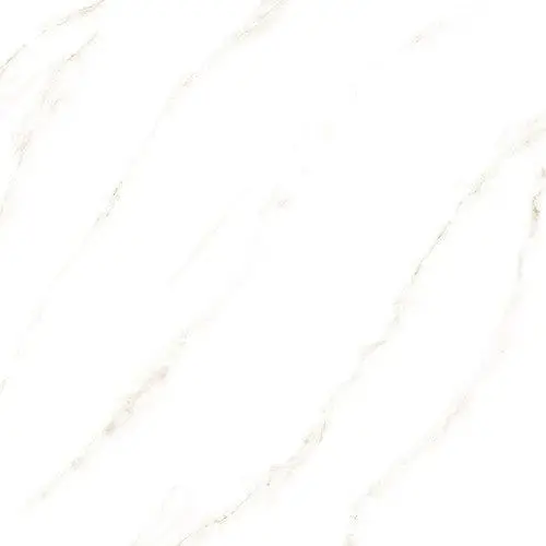 Rt5813 Ceramic Floor Tile 22" X 22" 1