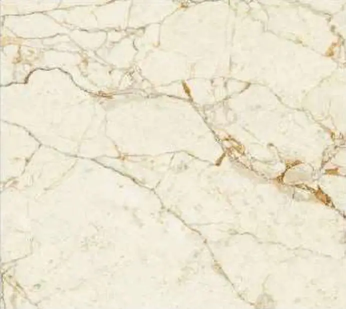Titus Breccia Porcelain Floor And Wall 24" X 24" 1