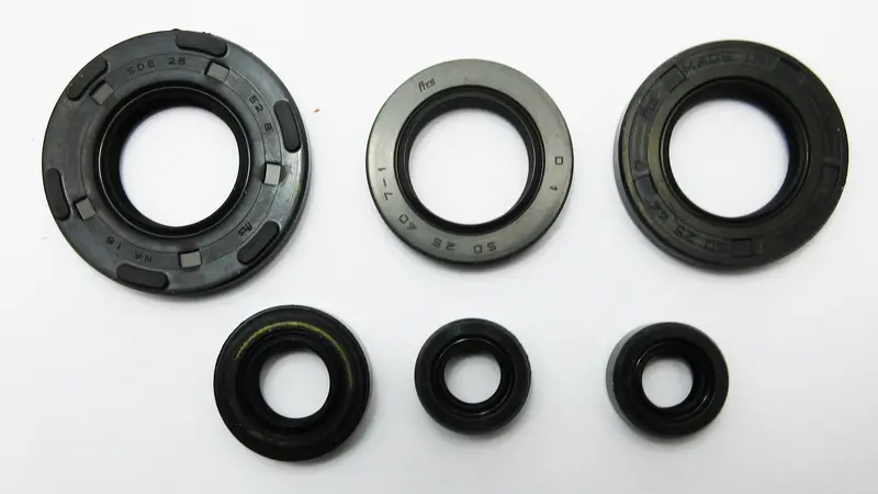 Ts185er Suzuki  Oil Seal Kit 1
