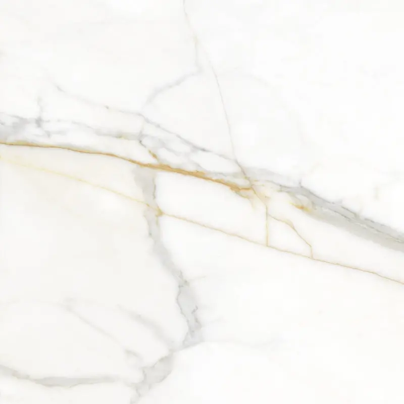 Valencia Ceramic Floor And Wall Tile 24"X24" 1