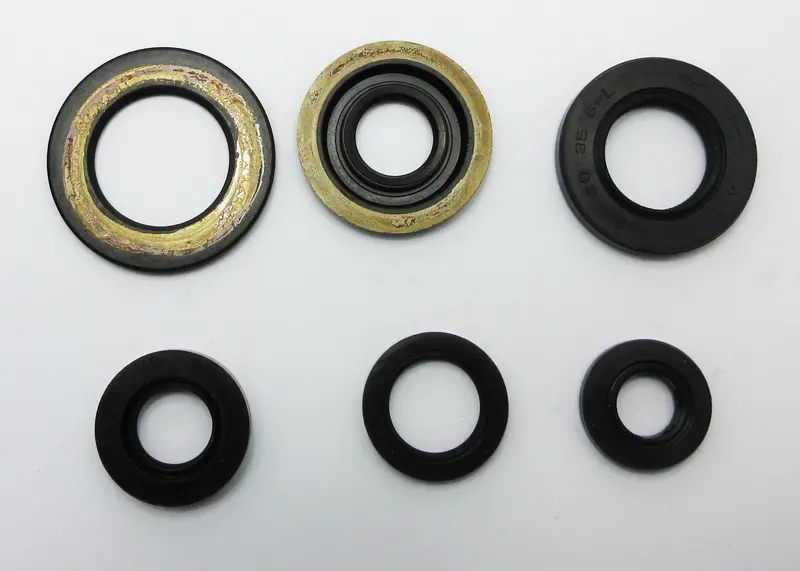 Yamaha Xt225 Oil Seal Kit 1